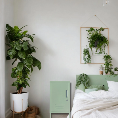 Little Delight in Cool Mint
