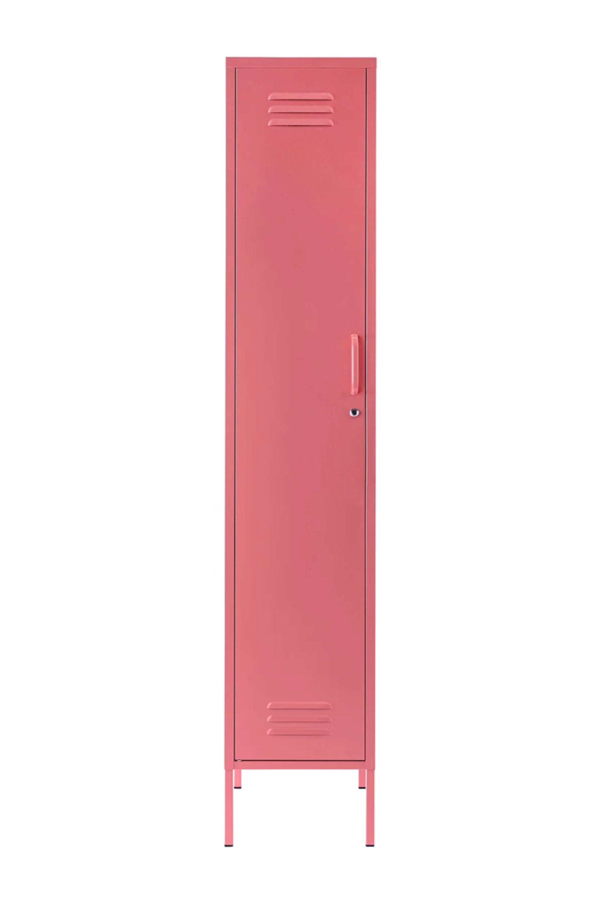 Single Dip in Berrylicious - Modern Steel Locker - Storage Cupboard - Left Door Opening