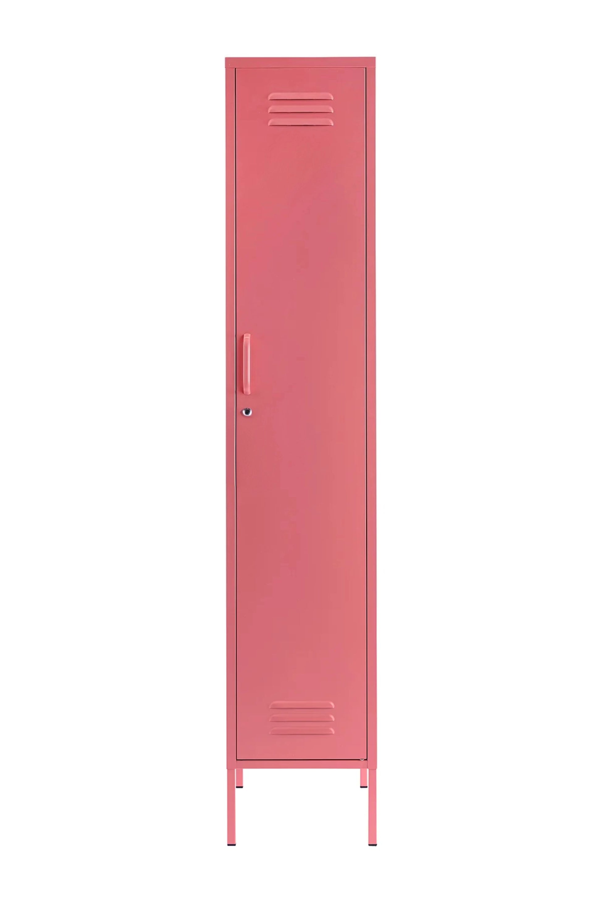 Single Dip in Berrylicious - Modern Steel Locker - Storage Cupboard - Right Door Opening